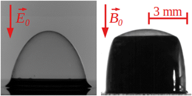 Graphical abstract: Deformation of soap bubbles in uniform magnetic fields