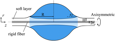 Graphical abstract: Static wetting of a barrel-shaped droplet on a soft-layer-coated fiber