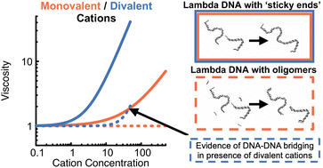 Graphical abstract: Effects of monovalent and divalent cations on the rheology of entangled DNA