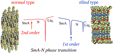 Graphical abstract: Molecular aggregation in liquid-crystalline layers crucially affects their physics: smectic A (SmA)–nematic (N) phase transition