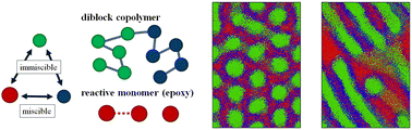 Graphical abstract: Reaction-induced morphological transitions in a blend of diblock copolymers and reactive monomers: dissipative particle dynamics simulation