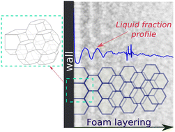 Graphical abstract: Neutron radiography of liquid foam structure near a vertical wall