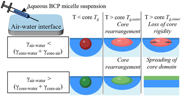 Graphical abstract: Effect of temperature on the air–water surface mechanical behavior of water-spread block copolymer micelles