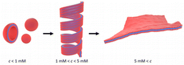 Graphical abstract: Vesicles, fibres, films and crystals: A low-molecular-weight-gelator [Au(6-thioguanosine)2]Cl which exhibits a co-operative anion-induced transition from vesicles to a fibrous metallo-hydrogel