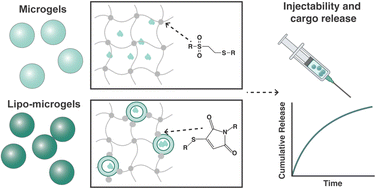 Graphical abstract: Injectable liposome-containing click hydrogel microparticles for release of macromolecular cargos