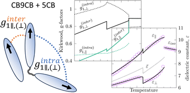 Graphical abstract: Dipole–dipole correlations in the nematic phases of symmetric cyanobiphenyl dimers and their binary mixtures with 5CB