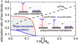 Graphical abstract: Unsynchronous conformational transitions induced by the asymmetric adsorption-response of an active diblock copolymer in an inert brush