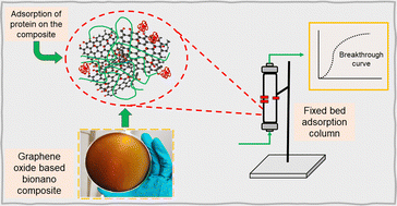 Graphical abstract: Separation of the heme protein cytochrome C using a 3D structured graphene oxide bionanocomposite as an adsorbent