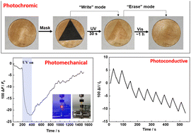 Graphical abstract: Thiol–ene chemistry incorporates a new spiropyran-containing polyurethane ionogel with photochromic, photomechanical and photoconductive properties