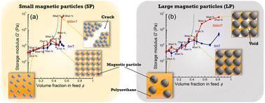 Graphical abstract: Voids induce wide-range modulation of elasticity for magnetic elastomers II