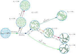 Graphical abstract: Computational mesoscale framework for biological clustering and fractal aggregation