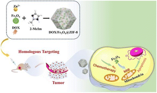 Graphical abstract: A simple one step synthesis of magnetic-optical dual functional ZIF-8 in a sodalite phase for magnetically guided targeting bioimaging and drug delivery