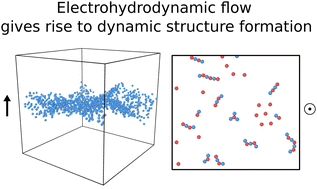 Graphical abstract: Nonequilibrium structure formation in electrohydrodynamic emulsions
