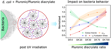 Graphical abstract: Rheological behavior of Pluronic/Pluronic diacrylate hydrogels used for bacteria encapsulation in engineered living materials