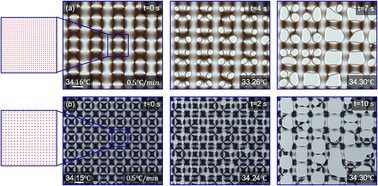 Graphical abstract: Nematic–isotropic phase transitions in thin slabs of liquid crystals with topological defect arrays