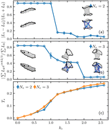 Graphical abstract: Chiral fluid membranes with orientational order and multiple edges