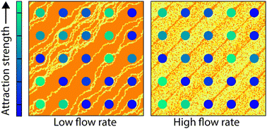 Graphical abstract: Particle dispersion through porous media with heterogeneous attractions