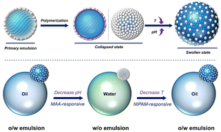 Graphical abstract: Dual-responsive colloidosome-like microgels as the building blocks for phase inversion of Pickering emulsions