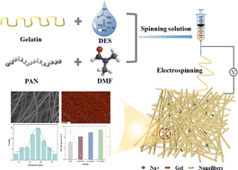 Graphical abstract: Fabrication of multi-functional gelatin/deep eutectic solvent/polyacrylonitrile nanofiber membranes via electrospinning
