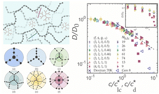 Graphical abstract: Universal scaling of the diffusivity of dendrimers in a semidilute solution of linear polymers