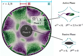 Graphical abstract: Multi-population dissolution in confined active fluids