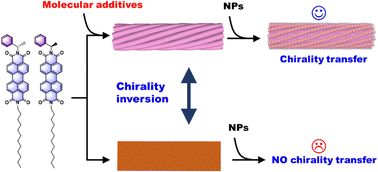 Graphical abstract: Using a molecular additive to control chiral supramolecular assembly and the subsequent chirality transfer process