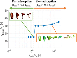 Graphical abstract: Emulsifier adsorption kinetics influences drop deformation and breakup in turbulent emulsification
