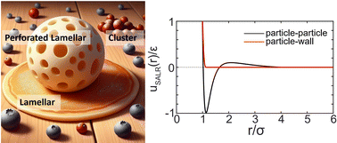 Graphical abstract: Self-assembly of colloids with competing interactions confined in spheres