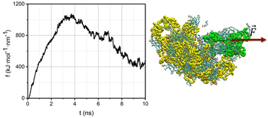 Graphical abstract: Linear and ring polypeptides complexed with oppositely charged surfactants: the cohesion of the complexes as revealed in atomistic simulations