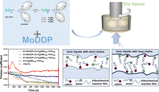 Graphical abstract: Towards outstanding lubricity performance of proton-type ionic liquids or synergistic effects with friction modifiers used as oil additives at the steel/steel interface