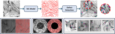 Graphical abstract: A machine learning approach to robustly determine director fields and analyze defects in active nematics