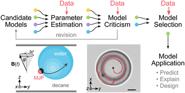 Graphical abstract: Magneto-capillary particle dynamics at curved interfaces: inference and criticism of dynamical models