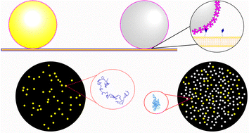 Graphical abstract: Effects of crowding on the diffusivity of membrane adhered particles