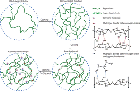 Graphical abstract: Strong and tough polysaccharide organohydrogels for strain, humidity and temperature sensors