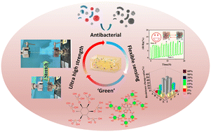 Graphical abstract: Phytic acid/tannic acid reinforced hydrogels with ultra-high strength for human motion monitoring and arrays