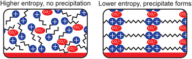 Graphical abstract: Exploring how cation entropy influences electric double layer formation and electrochemical reactivity