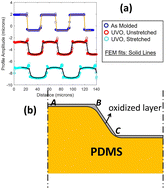 Graphical abstract: How the geometry of patterned surfaces affects the thickness distribution of the oxidized silica layer on polydimethylsiloxane (PDMS) after ultraviolet/ozone treatment
