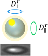 Graphical abstract: Rotational diffusion of colloidal microspheres near flat walls