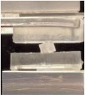 Graphical abstract: Sliding friction of a pillar array interface: part II, contact mechanics of single pillar pairs