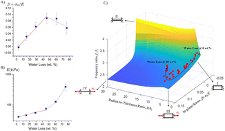 Graphical abstract: Characterization of drying-induced changes in moduli and internal stresses in a constrained gel using laser vibrometry