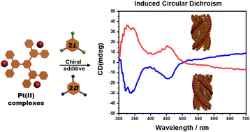 Graphical abstract: Platinum(ii) terpyridine-based supramolecular polymer gels with induced chirality