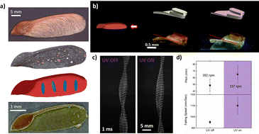 Graphical abstract: Three-dimensional blueprinting of molecular patterns in liquid crystalline polymers