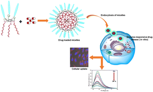 Graphical abstract: Synthesis of C3-symmetric star shaped amphiphiles for drug delivery applications