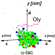 Graphical abstract: Modulation of the electrostatic potential around α-lactalbumin using oligoelectrolyte chains, pH and salt concentration