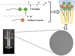 Graphical abstract: Wormlike micellar solutions formed by an anionic surfactant and a cationic surfactant with two head groups