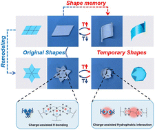Graphical abstract: Shape memory hydrogels with remodelable permanent shapes and programmable cold-induced shape recovery behavior