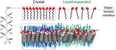 Graphical abstract: Phase transitions of fluorotelomer alcohols at the water|alkane interface studied via molecular dynamics simulation