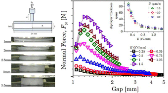 Graphical abstract: Pure elongation flow of an electrorheological fluid: insights on wall slip from electrorheology