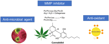 Graphical abstract: Stability, biofunctional, and antimicrobial characteristics of cannabidiol isolate for the design of topical formulations