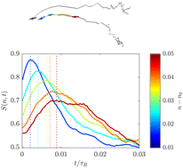 Graphical abstract: Effect of local active fluctuations on structure and dynamics of flexible biopolymers